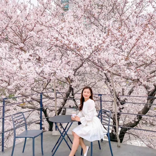 🌸지금 부산에서 젤 핫한 카페