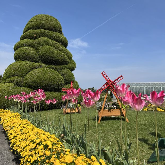 藤が見頃！はままつフラワーパーク💐