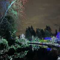 Christmas lights festival at the botanical gardens 