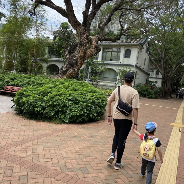 久違的公園放電 📍尖沙咀