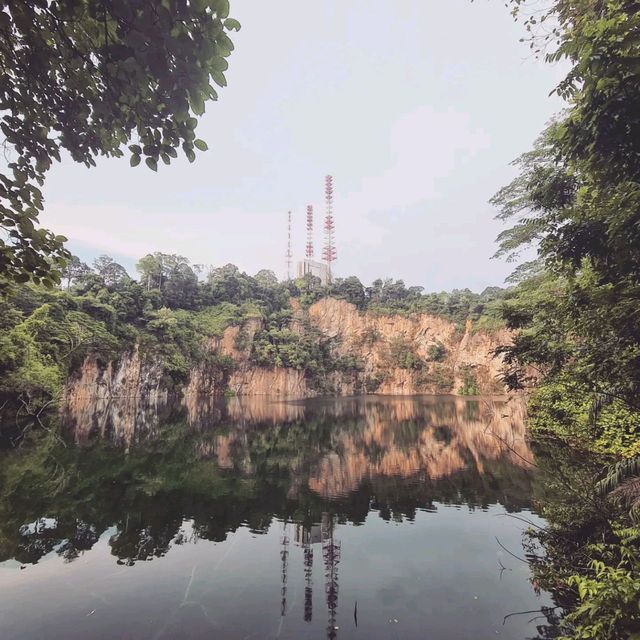 Scenic Walk to Bukit Timah Nature Reserve