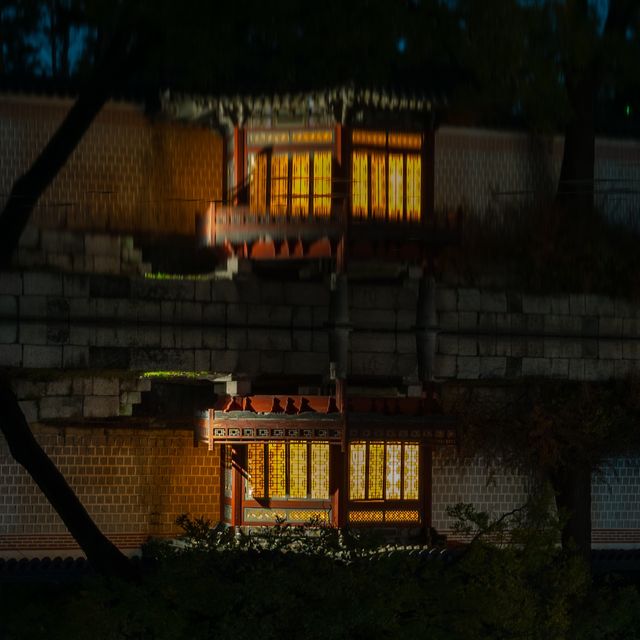 📍경복궁 🌕궁궐 야간개장🌕