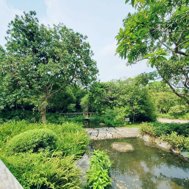 生態之旅 - 香港濕地公園
