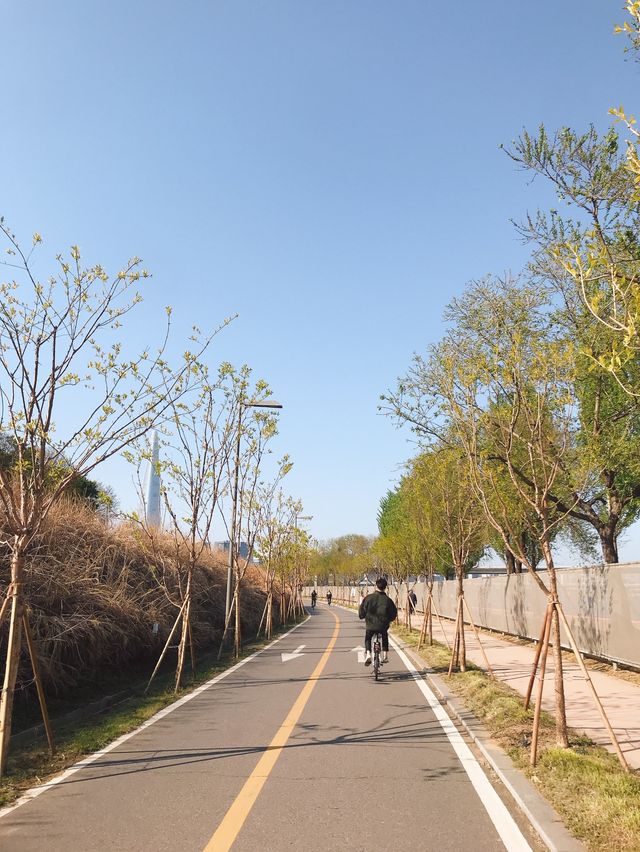 따릉이 타고 한강 라이딩 어때요🚲