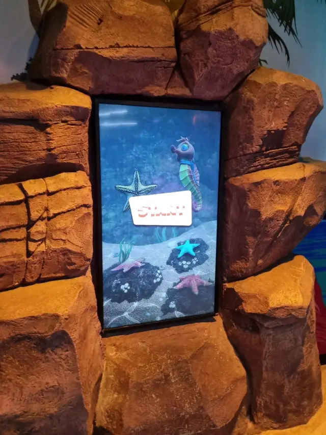 Interactive Educational Games @ Sealife