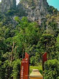Into The Forest กระบี่