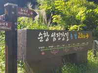 국토 종주길 따라 자전거 여행 🚲