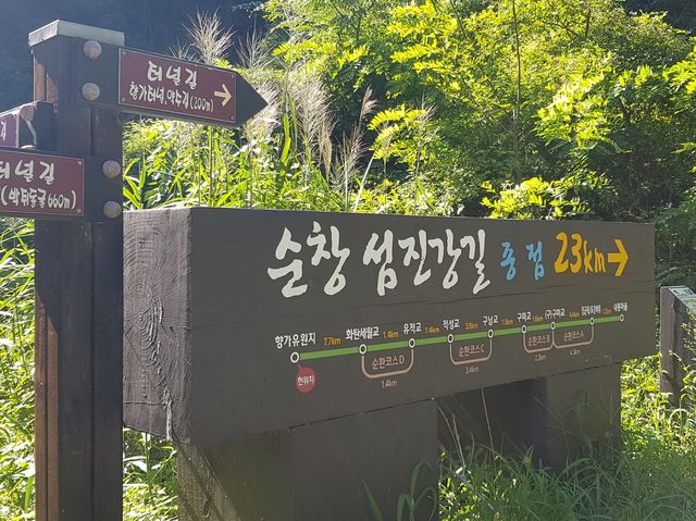 국토 종주길 따라 자전거 여행 🚲