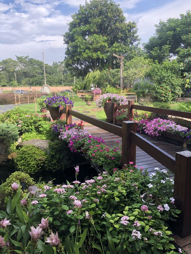 คาเฟ่ที่มีสวนดอกไม้สวยงามมาก🌻💐