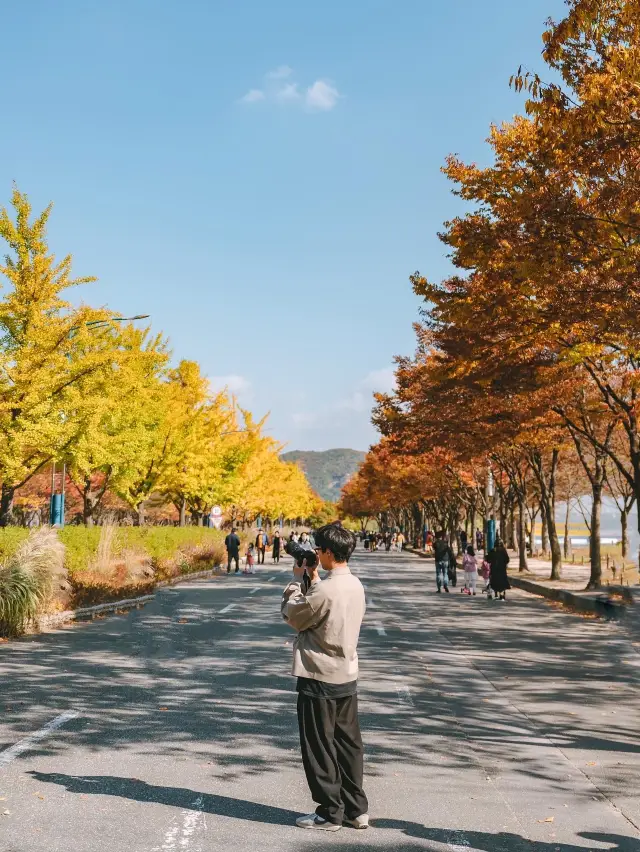 지금 가장 이쁜 인천대공원🍁