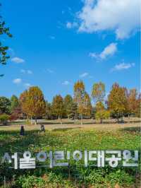 서울 단풍여행 울긋불긋 서울 어린이대공원