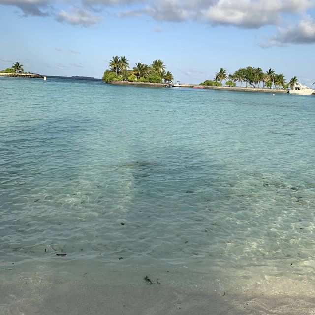 Exotic beautiful island