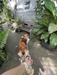 Pet-friendly cafe!