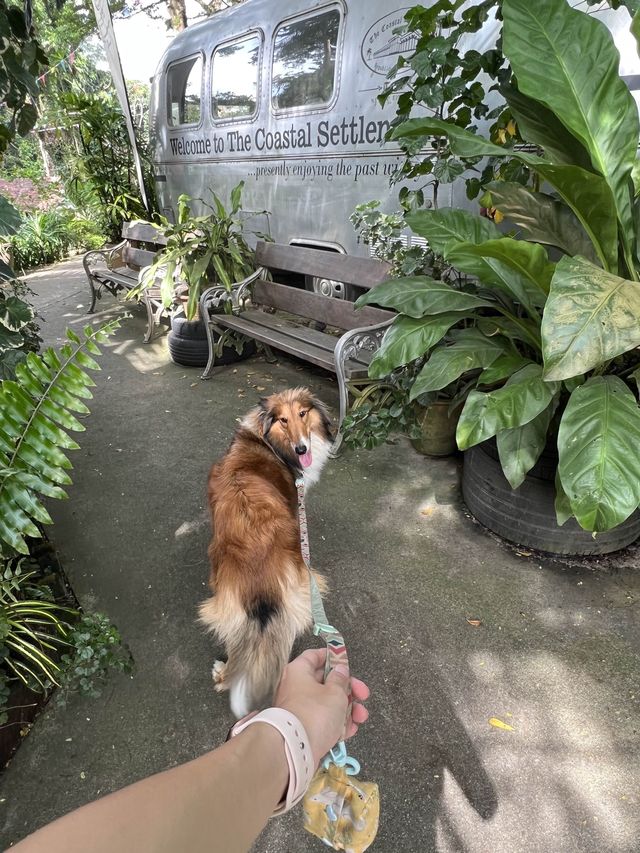 Pet-friendly cafe!
