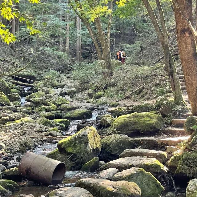 东京周边登山好去处-御岳山