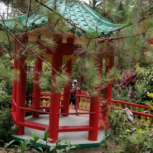 Wander often, wonder always 💞❣️