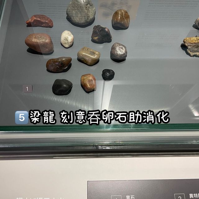《恐龍展🦕必睇7項嬰幼龍醫護》