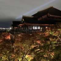 京都紅葉2022  清水寺のライトアップに圧倒される！