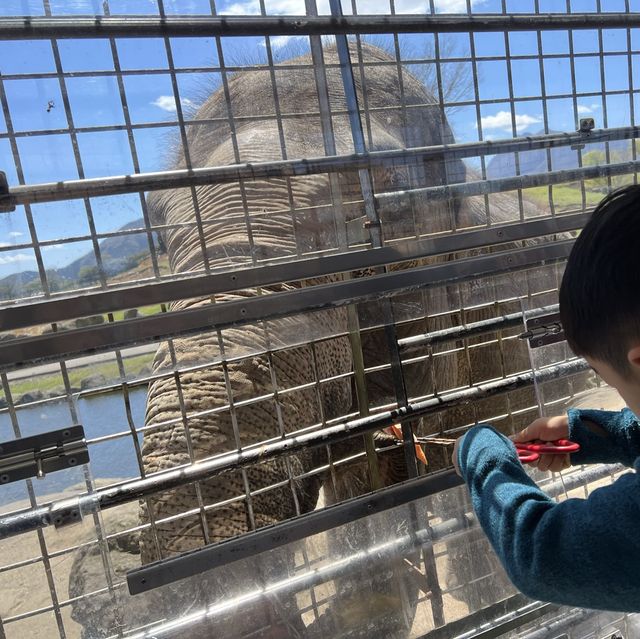 親子旅遊必到景點 - 九州自然動物園