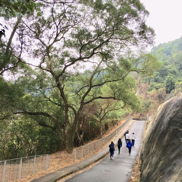 粉嶺鶴藪水塘