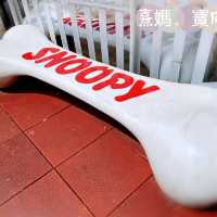 snoopy’s world