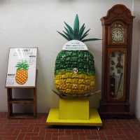 沖繩名護菠蘿🍍園❤️不一樣體驗