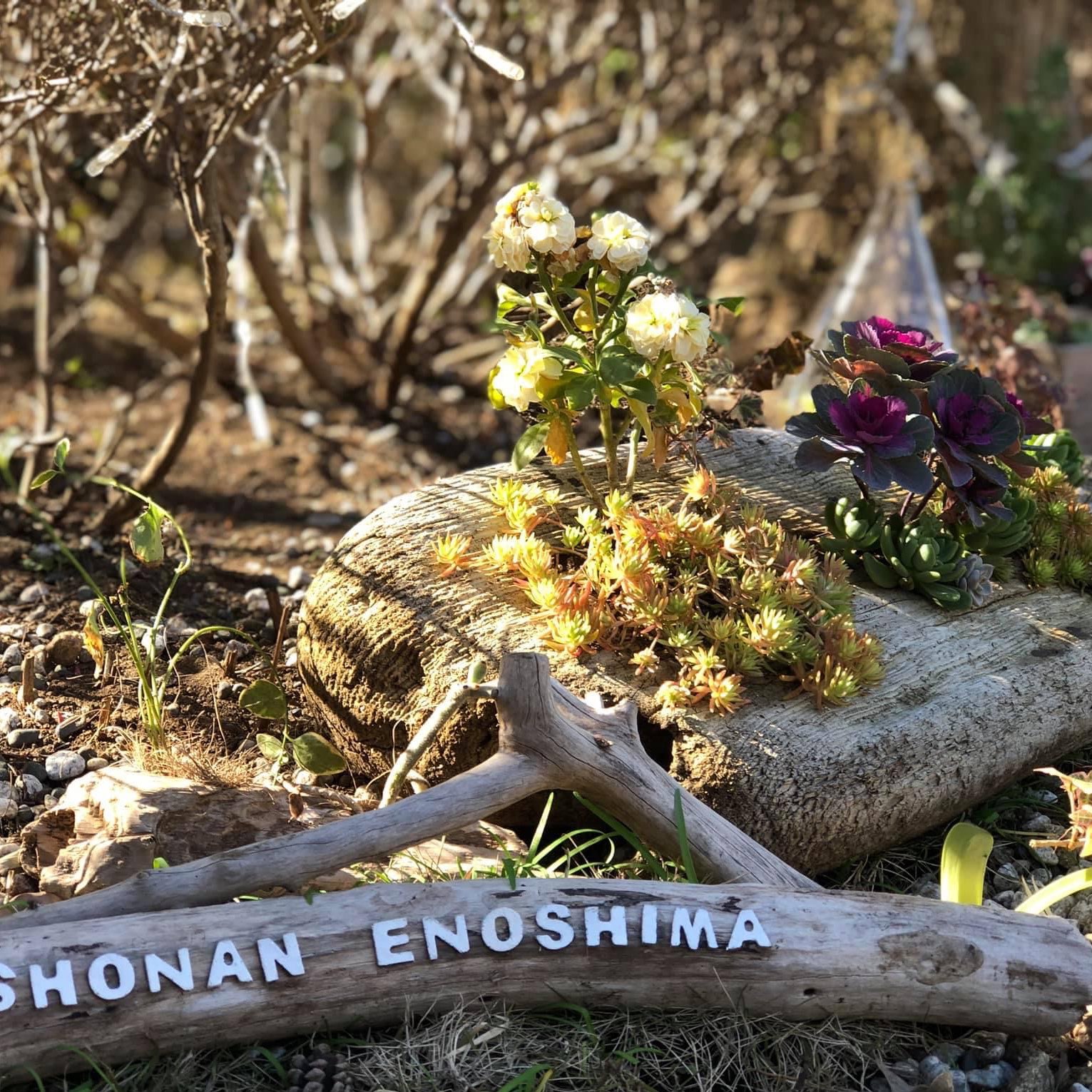 江之島燈台 飽覽江之島美景 Trip Com 日本trip Moments 貼文