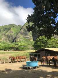 Fun day out at Kualoa Ranch Hawaii! 