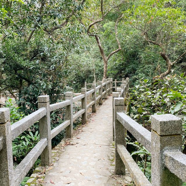 打卡流水響郊遊徑.紅葉
