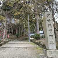 京都　SAKURA 桜めぐり❗️JR山科駅〜毘沙門堂まで散策してみた！