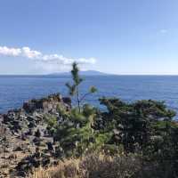 【城ヶ先海岸】伊豆らしい溶岩地形！