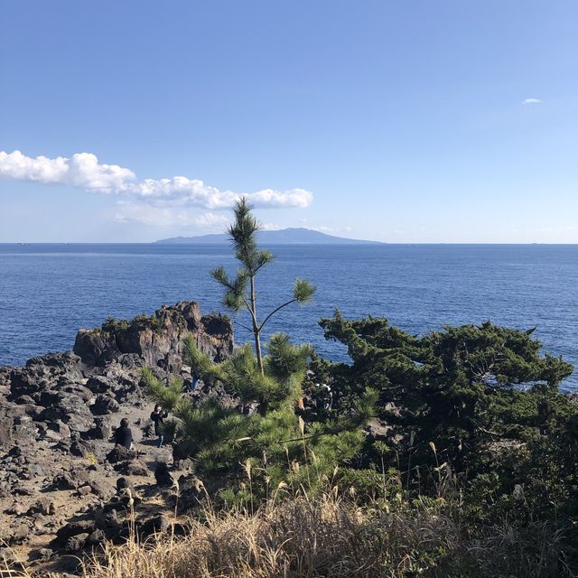 【城ヶ先海岸】伊豆らしい溶岩地形！