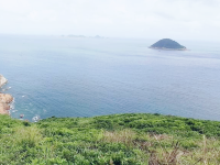 綠蛋島