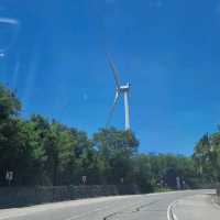 Bangui Windmill Farm