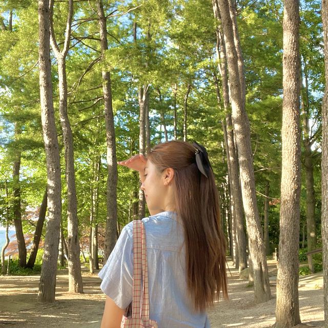 신비로운 국내여행지 남이섬