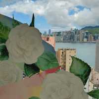 白茶花主題海景套房