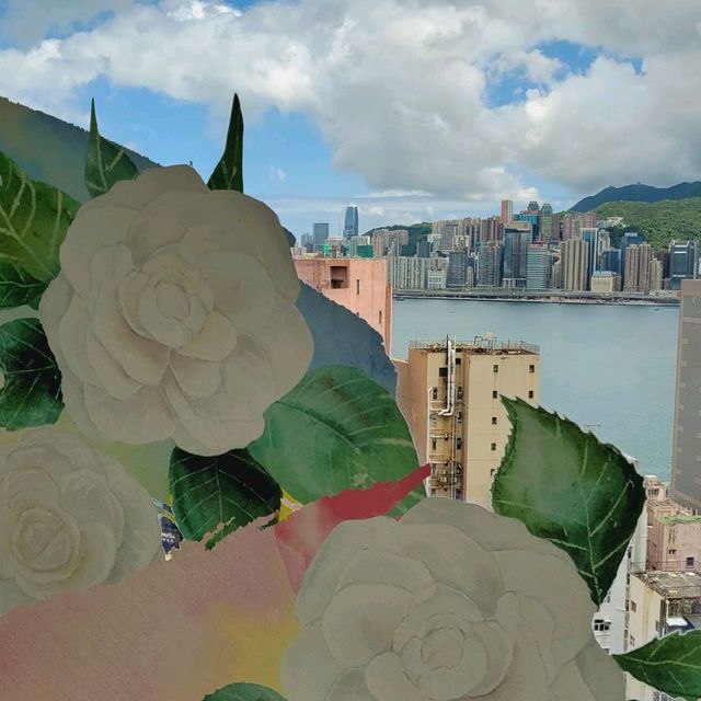 白茶花主題海景套房