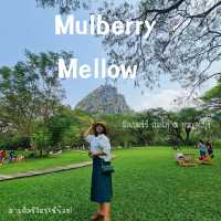 Mulberry Mellow คาเฟ่นั่งชิว@กาญจนบุรี