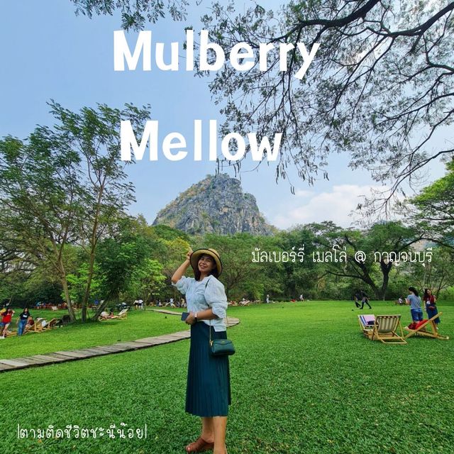Mulberry Mellow คาเฟ่นั่งชิว@กาญจนบุรี