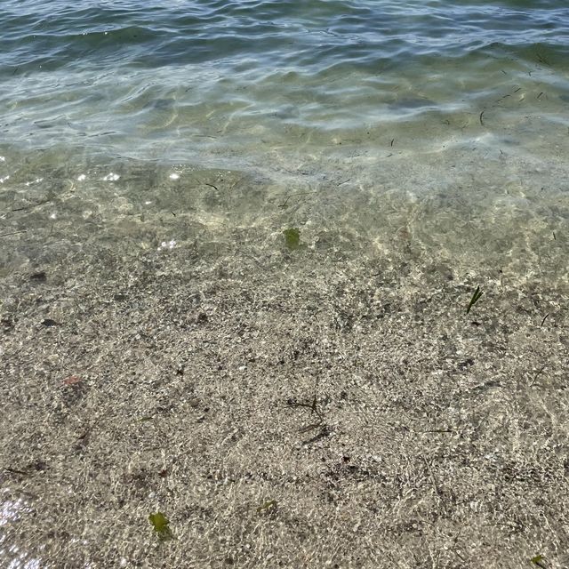 【神奈川県】透き通った海と白砂のたたら浜