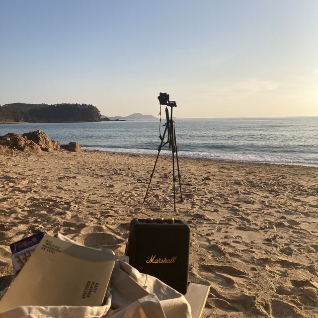  태안 만리포 해수욕장 피크닉