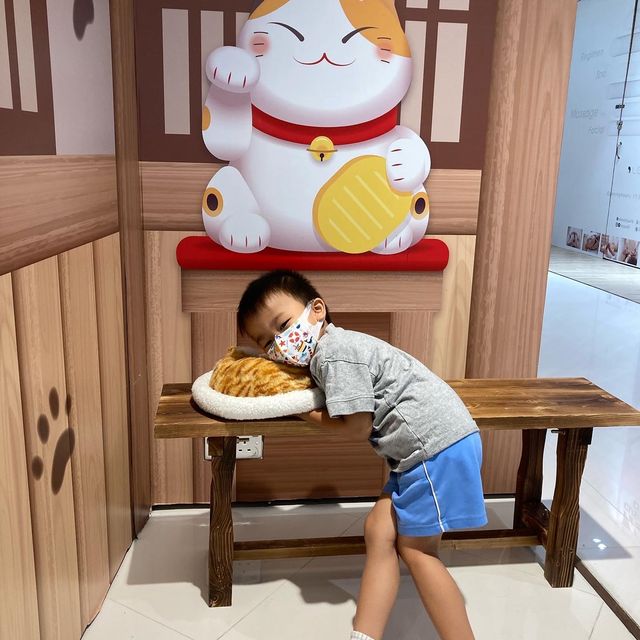 北角匯 x CATCATION 《Cat.Art.Metaverse》NFT 藝術館