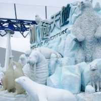 Ocean Park Theme Park