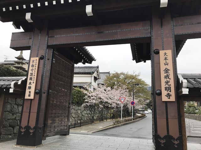 【京都】新撰組発祥のお寺！金戒光明寺をご紹介