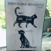 猴硐貓村 - 慢活的貓奴聖地