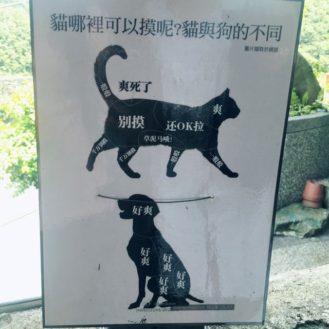 猴硐貓村 - 慢活的貓奴聖地