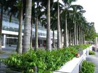 Jogging round Marina Boulevard