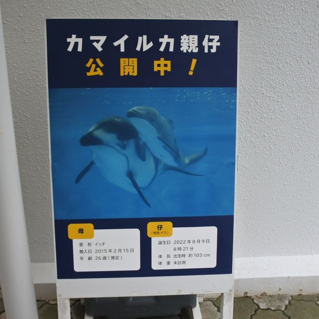 【新潟市水族館マリンピア日本海】