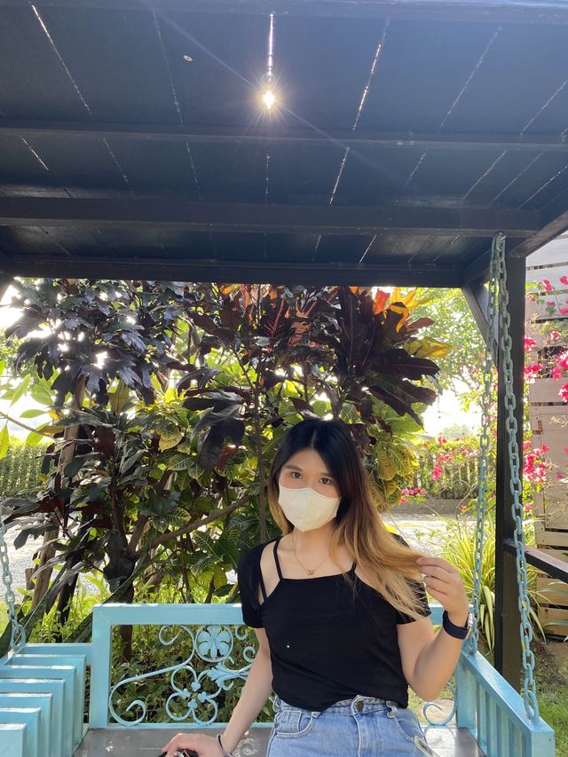 Set Arts and Props Cafe & Bistro ☕️🍛🍲🍰