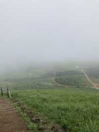 제주도 서쪽 여행,애월 새별오름